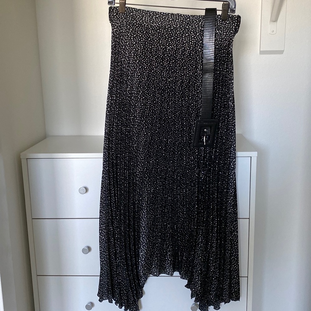 Zara printed accordion skirt